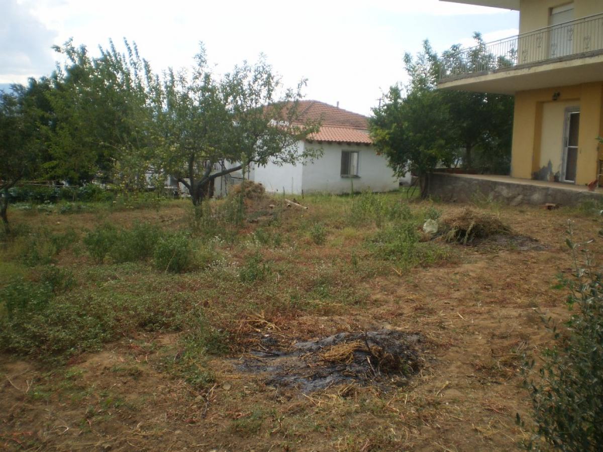  Μονοκατοικία T-1209-296_p8210051.jpg