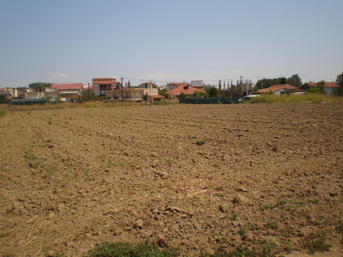 οικόπεδο Τ-1358-397_p7270002.jpg