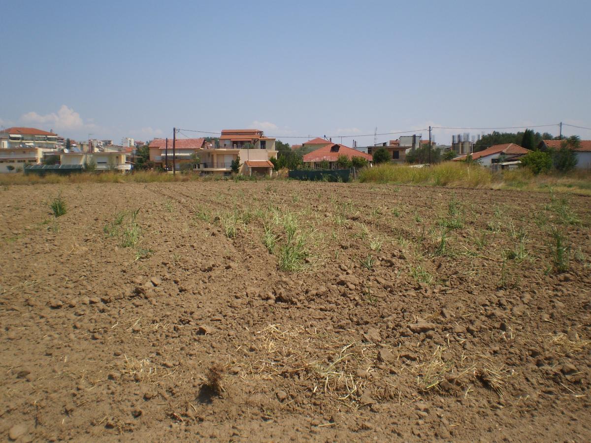 οικόπεδο Τ-1358-397_p7270003.jpg