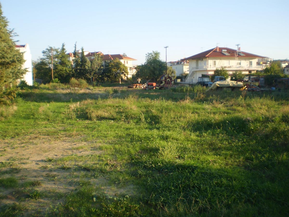 Οικόπεδο Τ-1354Α-428_p9220011.jpg