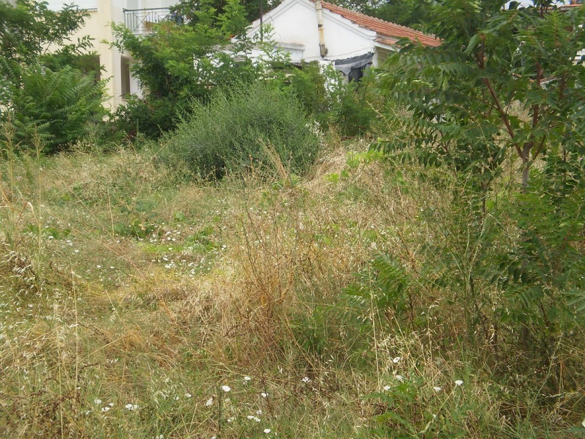 Οικόπεδο Τ-1474-566_t-1474_4.jpg