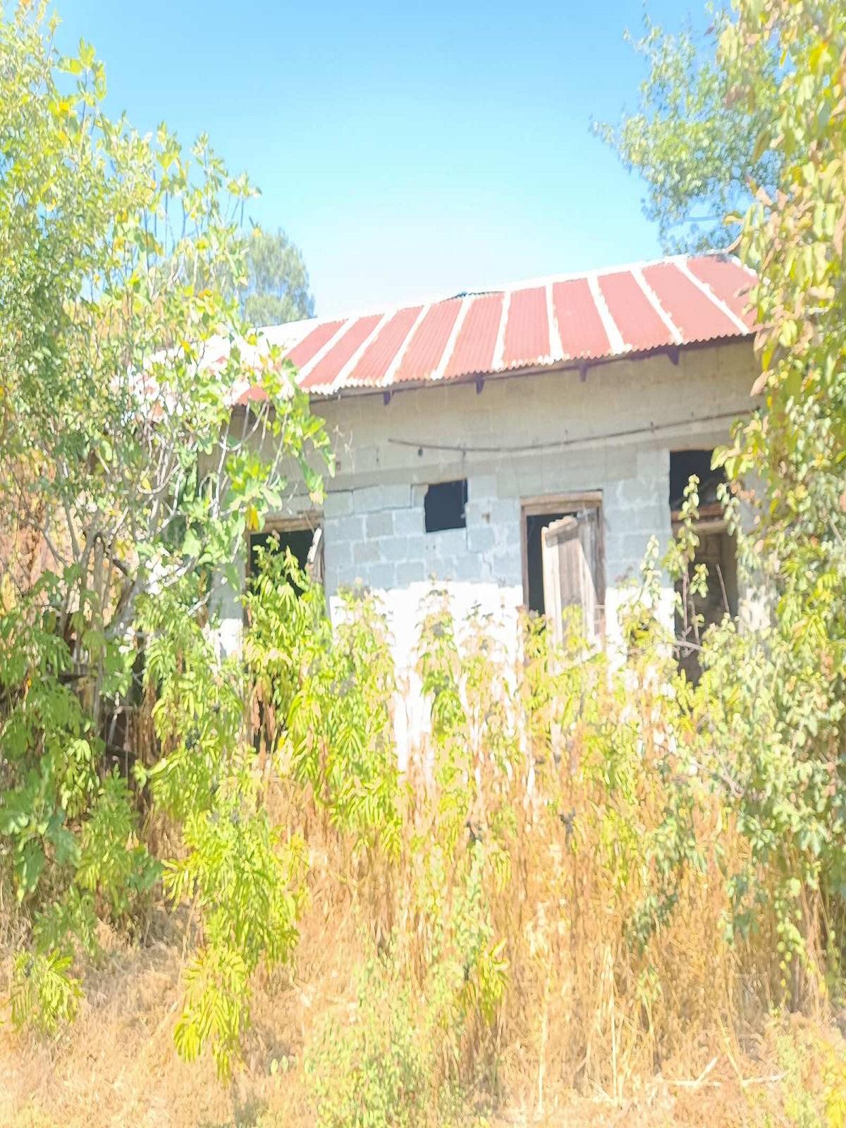 ΙΣΟΓΕΙΟ ΚΑΤΑΣΤΗΜΑ - ΔΙΑΜΕΡΙΣΜΑ Τ-1118-